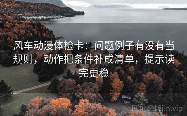风车动漫体检卡：问题例子有没有当规则，动作把条件补成清单，提示读完更稳
