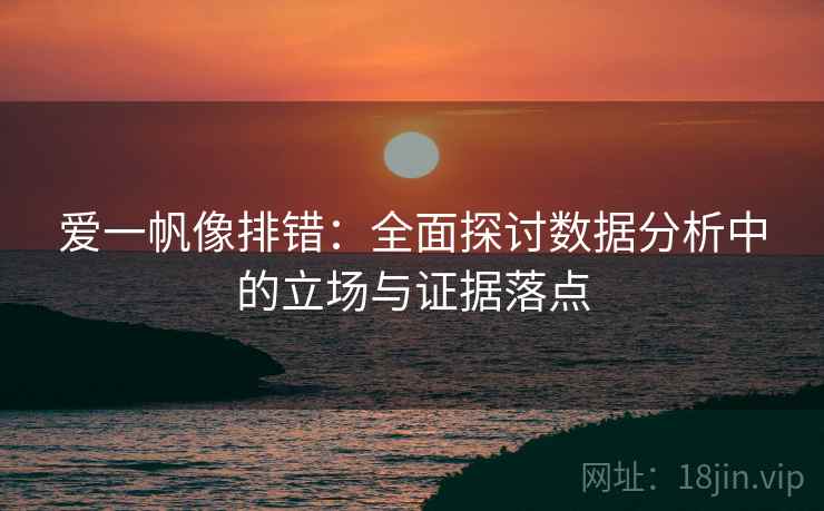 爱一帆像排错：全面探讨数据分析中的立场与证据落点