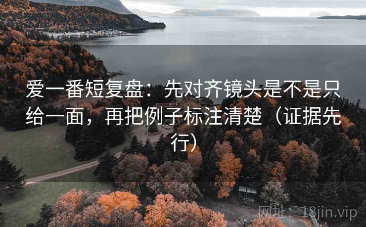 爱一番短复盘：先对齐镜头是不是只给一面，再把例子标注清楚（证据先行）